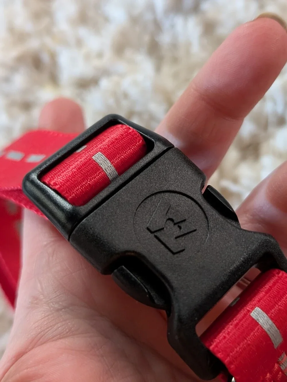 Reflective Dog Collar And Leash